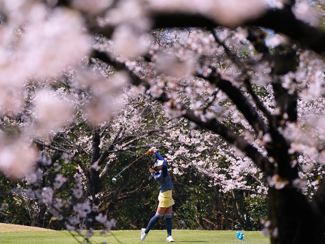 woman playing golf