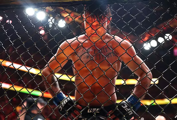 IMG at 65: Older, wiser, more agile